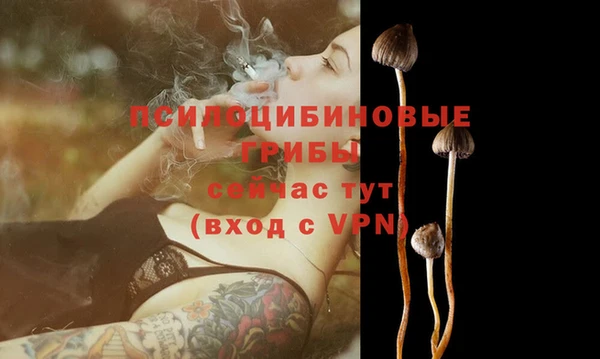 бошки Вуктыл
