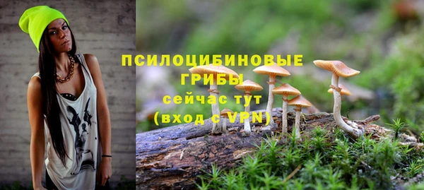 a pvp Абдулино