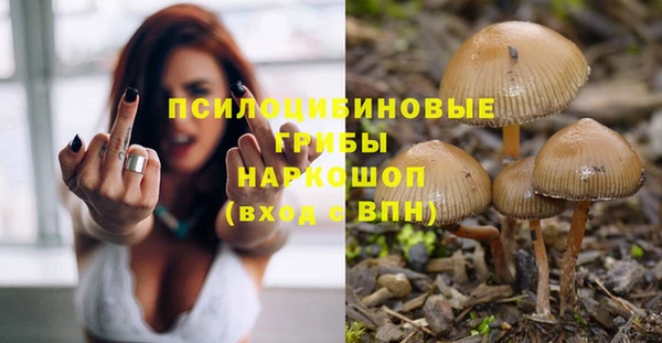 гидра Алексин